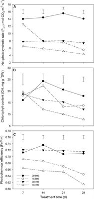 Metabolic Pathways Involved in Carbon Dioxide Enhanced Heat Tolerance in Bermudagrass